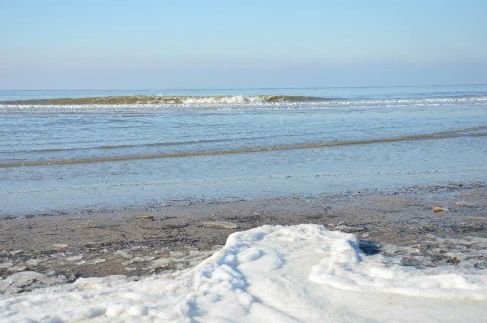 Pension 'T Hofje 350 Meter Van Het Strand Noordwijk Exteriér fotografie