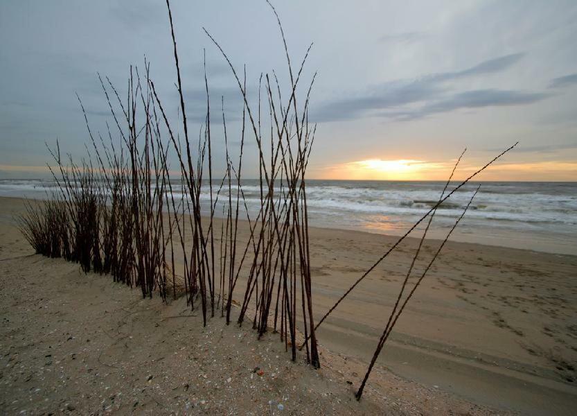 Pension 'T Hofje 350 Meter Van Het Strand Noordwijk Exteriér fotografie